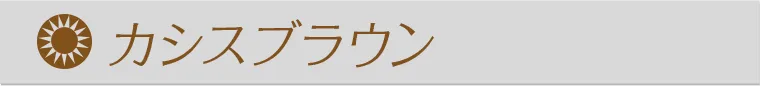 益若つばさプロデュースカラコン Angelcolor Bambi 1day -エンジェルカラーバンビワンデー｜カシスブラウン