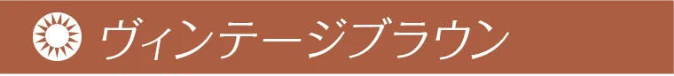 益若つばさプロデュースカラコン AngelColor Bambi Vintage 1day -エンジェルカラーバンビヴィンテージワンデー ヴィンテージブラウン