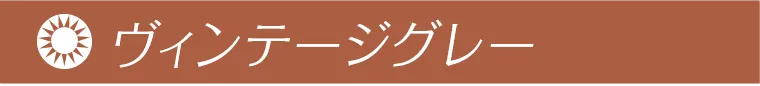 益若つばさプロデュースカラコン AngelColor Bambi Vintage 1day -エンジェルカラーバンビヴィンテージワンデー ヴィンテージグレー
