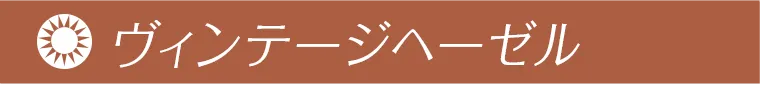 益若つばさプロデュースカラコン AngelColor Bambi Vintage 1day -エンジェルカラーバンビヴィンテージワンデー ヴィンテージヘーゼル