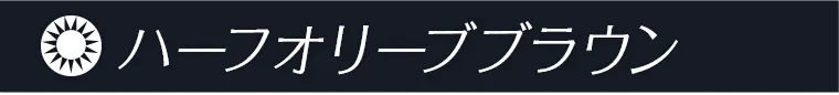一条響イメージモデルカラコン colors -カラーズ ハーフオリーブブラウン