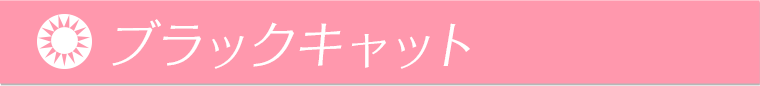 ブラックキャット