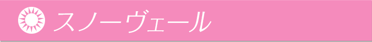 スノーヴェール
