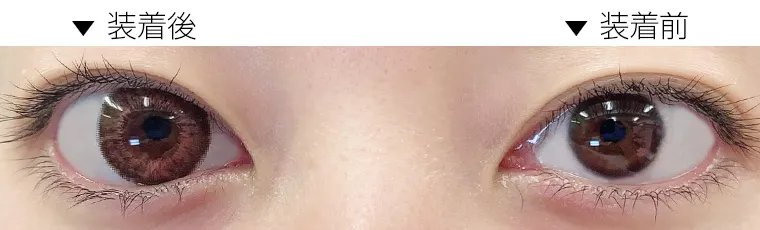 新木優子イメージモデル EYE GENIC by evercolor -アイジェニックバイエバーカラー シマーショコラ スタッフレビュー