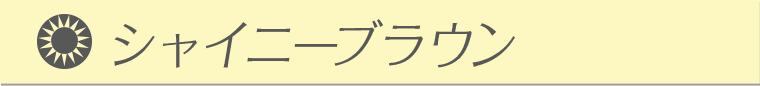 シャイニーブラウン