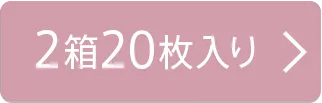 2箱20枚入り