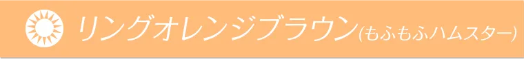 明日花キラライメージモデルカラコン flurry フルーリー リングオレンジブラウン(もふもふハムスター)