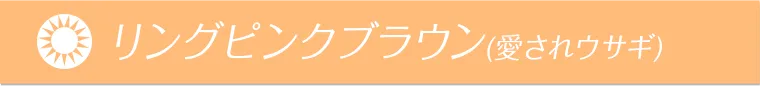 明日花キラライメージモデルカラコン flurry フルーリー リングピンクブラウン(愛されウサギ)