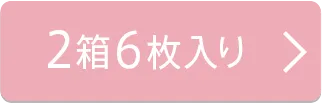 2箱6枚入り