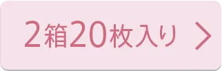 2箱20枚入り