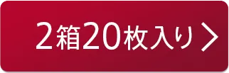 2箱20枚入り