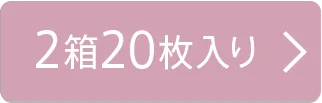 2箱20枚入り