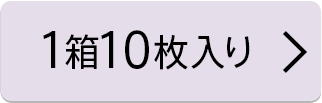 10枚入り×1箱