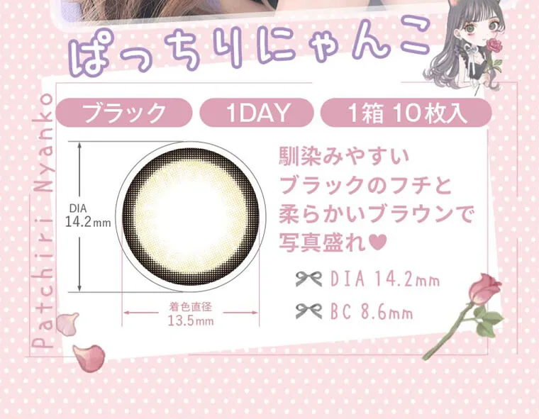 黒崎みさイメージモデルカラコン MieQaM-ミキュアム|ぱっちりにゃんこ ブラック 1DAY 1箱10枚入 DIA14.2mm 着色直径13.5mm BC8.6mm 馴染みやすいブラックのフチと柔らかいブラウンで写真盛れ