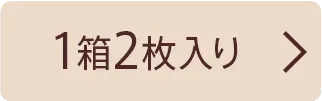 10枚入り×1箱