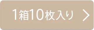 1箱10枚入り