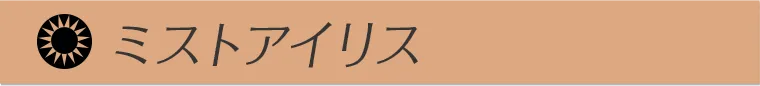 ローライメージモデルカラコン ReVIA 1month -レヴィア ワンマンス ミストアイリス
