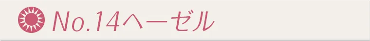 NO.14ヘーゼル