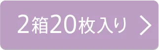 10枚入り×2箱