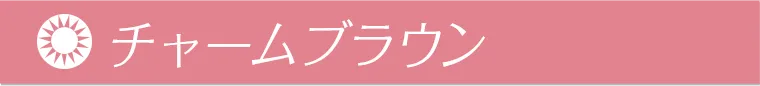 本田翼(ばっさー)イメージモデルカラコン Viewm 1day -ビュームワンデー| チャームブラウン